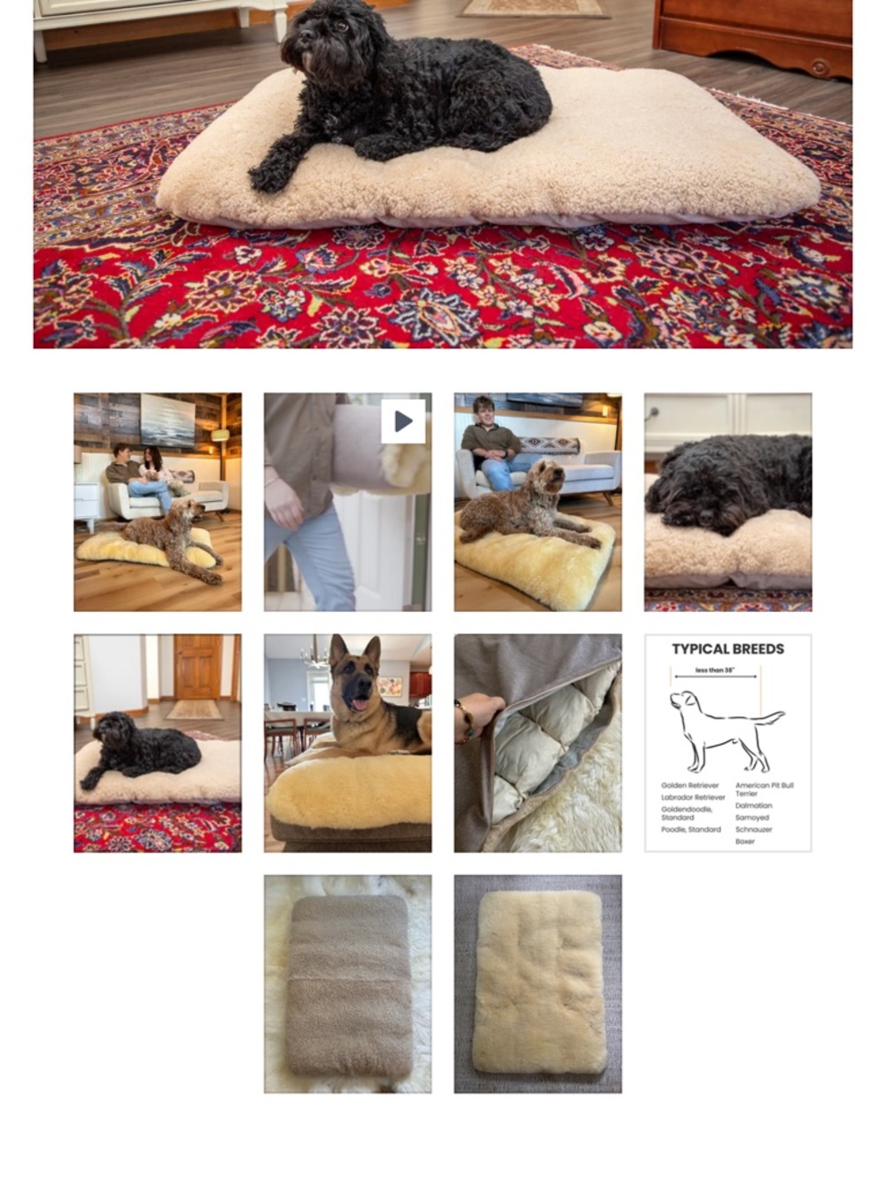 Plush Shearling Dog Bed Cushion - Beige/Cream